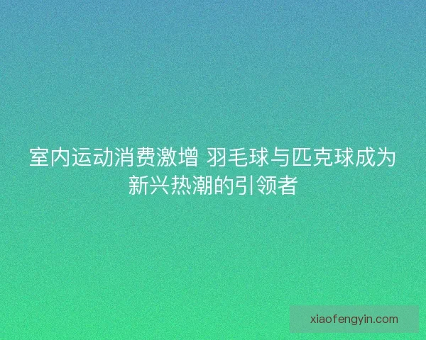 室内运动消费激增 羽毛球与匹克球成为新兴热潮的引领者