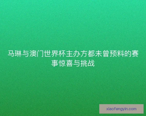 马琳与澳门世界杯主办方都未曾预料的赛事惊喜与挑战
