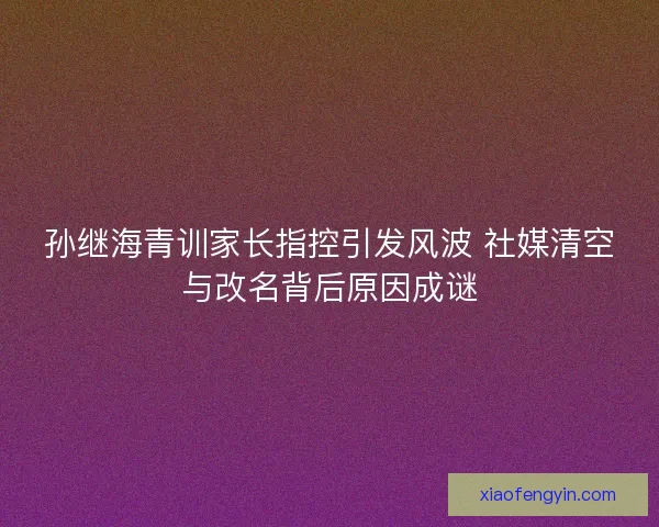 孙继海青训家长指控引发风波 社媒清空与改名背后原因成谜